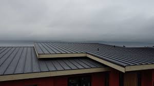 Best Metal Roofing Installation  in Woodville, AL